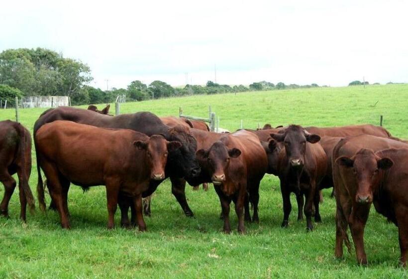 فندق Oppieplaas Self Catering Country Cottage