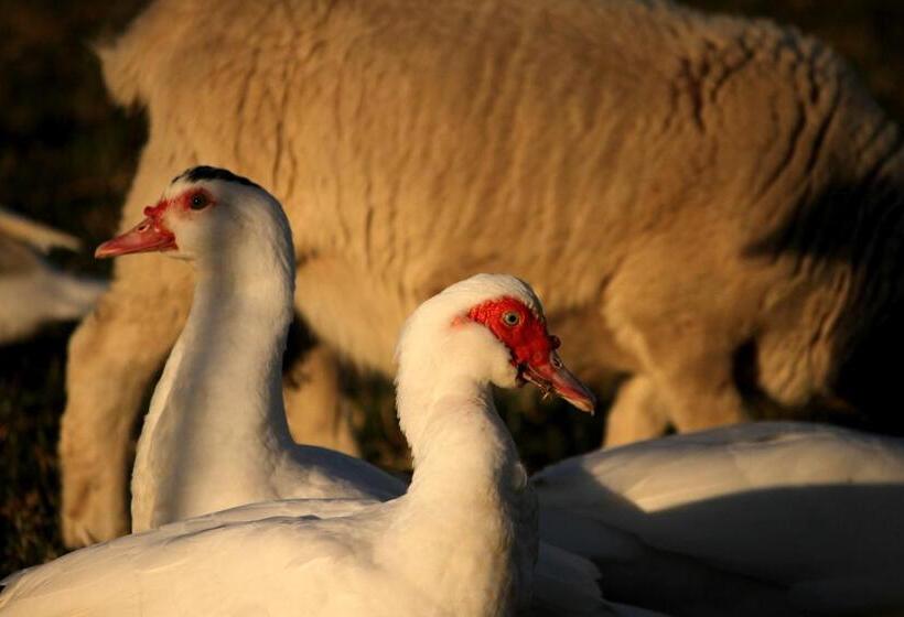 فندق Oppieplaas Self Catering Country Cottage