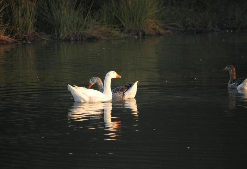 فندق Oppieplaas Self Catering Country Cottage