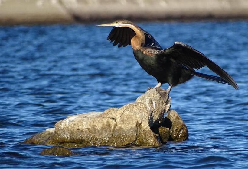 هتل Von Bach Dam Resort