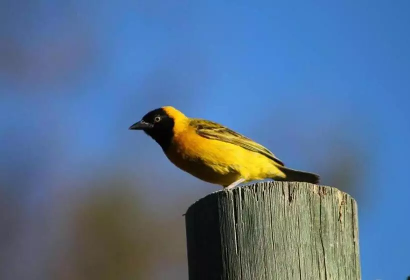 هتل Von Bach Dam Resort