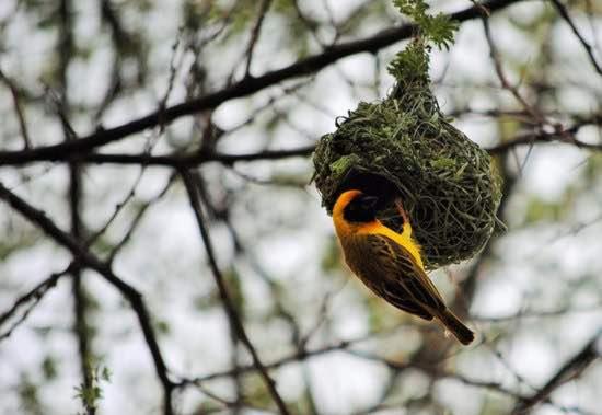 هتل Von Bach Dam Resort