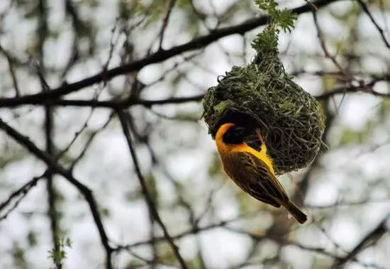 هتل Von Bach Dam Resort