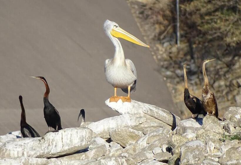 هتل Von Bach Dam Resort