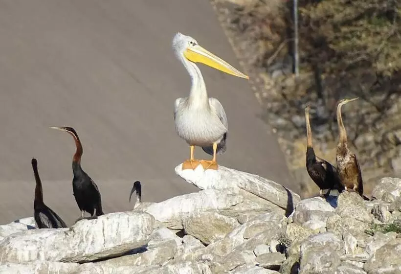 هتل Von Bach Dam Resort