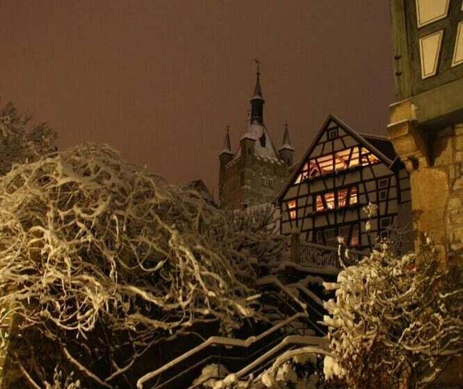 فندق Herberge Zur Traube