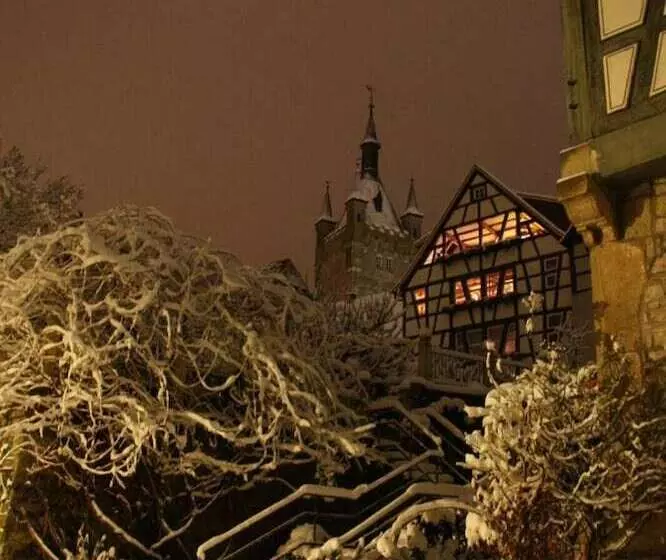 ホテル Herberge Zur Traube