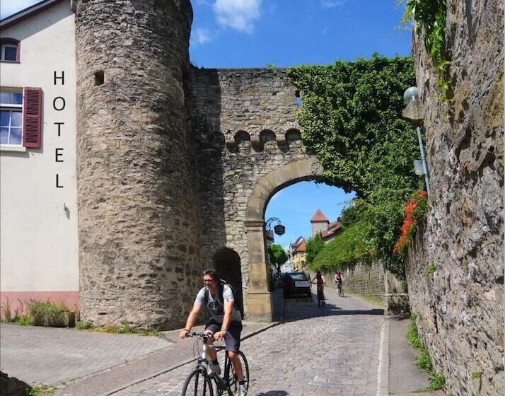 فندق Herberge Zur Traube