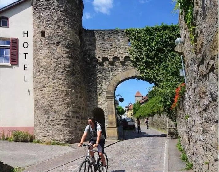 ホテル Herberge Zur Traube