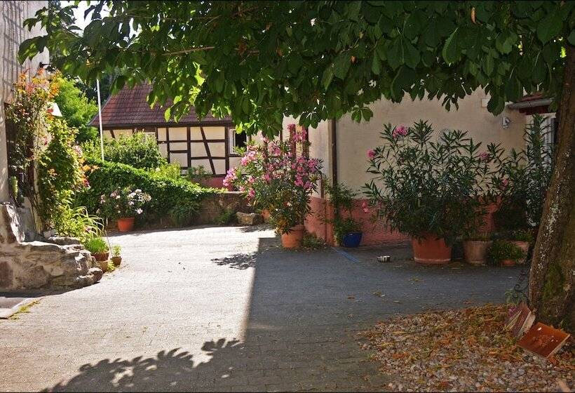 فندق Herberge Zur Traube