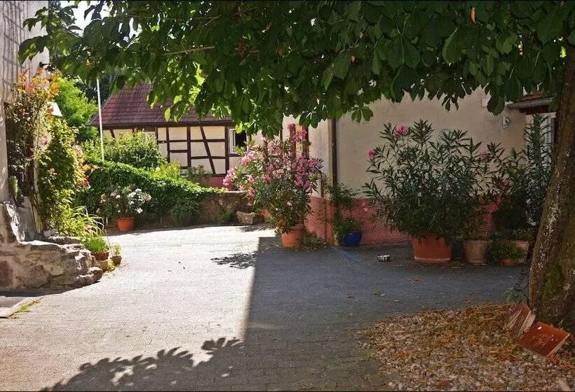 ホテル Herberge Zur Traube