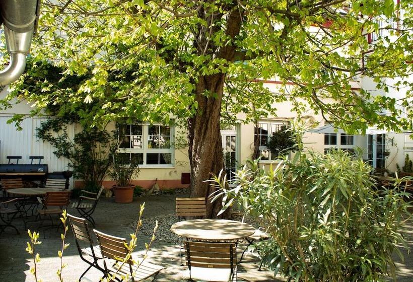 فندق Herberge Zur Traube