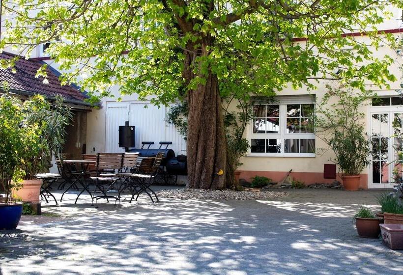 فندق Herberge Zur Traube