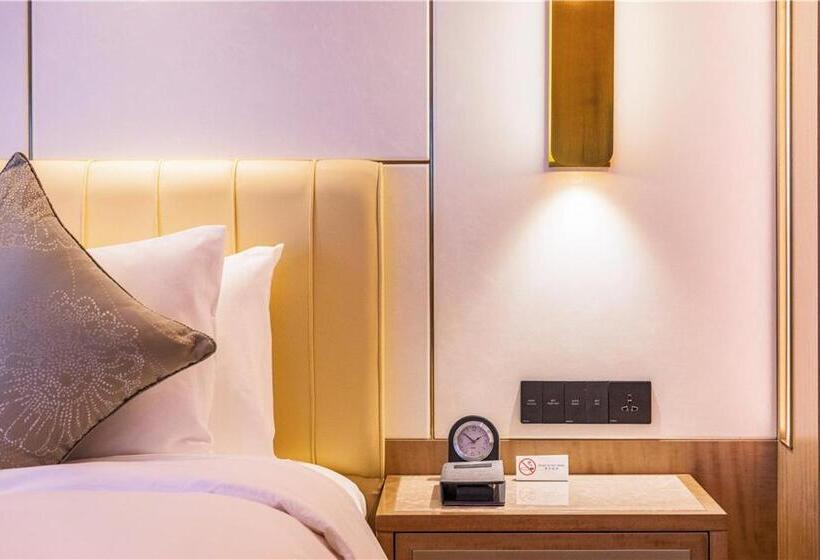 ホテル Howard Johnson New District Plaza Ziyang