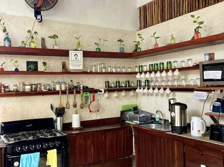 Pansiyon Hostal Holbox   Hostel & Private Apartments