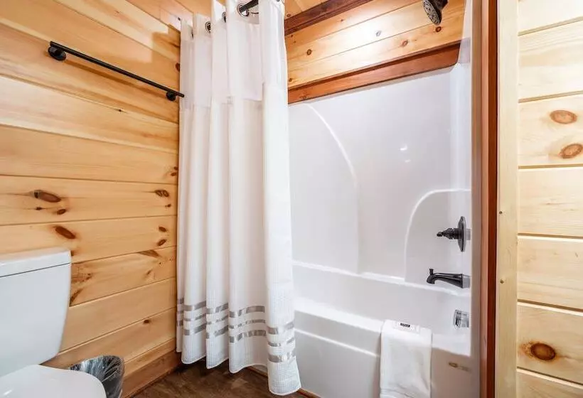 ユースホステル Best Court