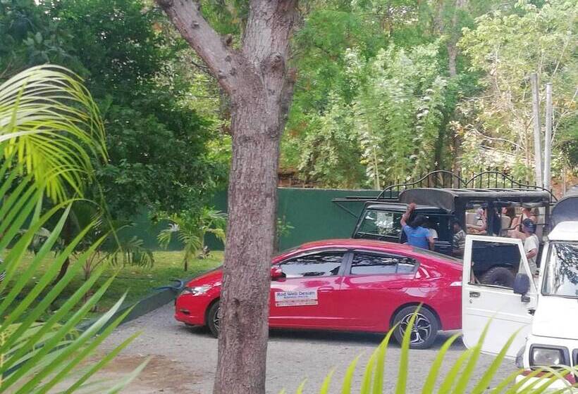 צימר N.l.i. Guest House