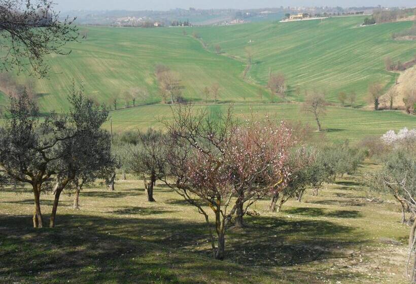 هتل Agriturismo Il Poggiolo