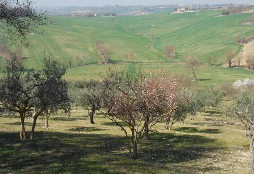 هتل Agriturismo Il Poggiolo