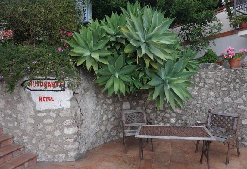 فندق Villa Souvenir