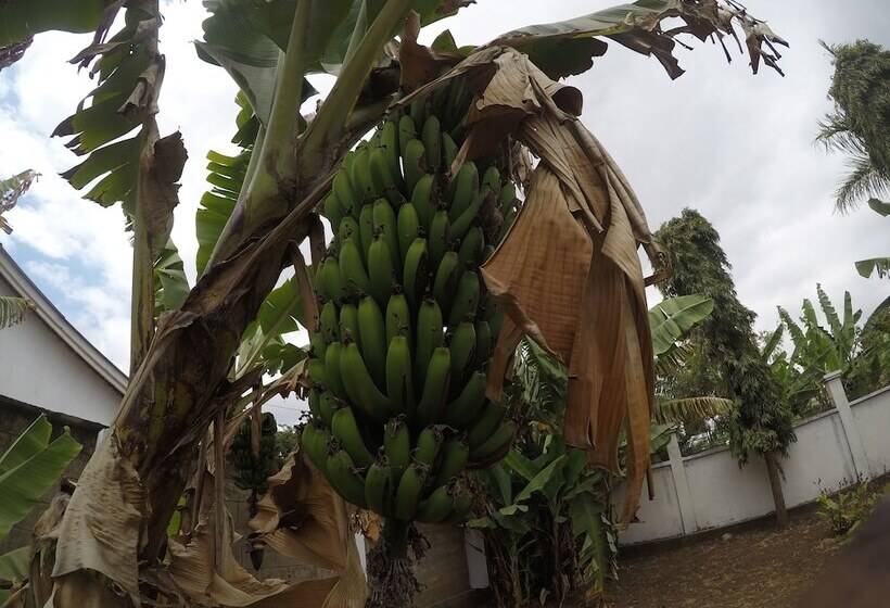 Rightminded Travelling Hostel