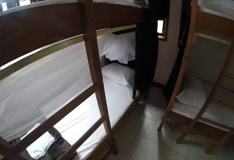 Rightminded Travelling Hostel