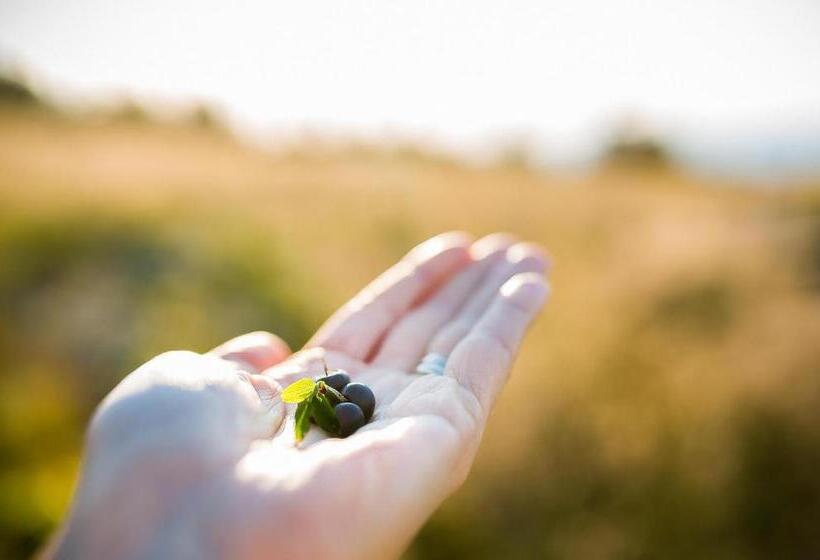 בית מלון כפרי Chata Jiriho Na Seraku