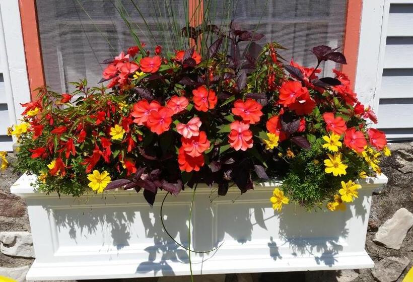 فندق Bay Port Lodging