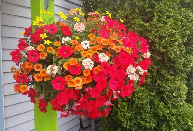 Hotelli Bay Port Lodging