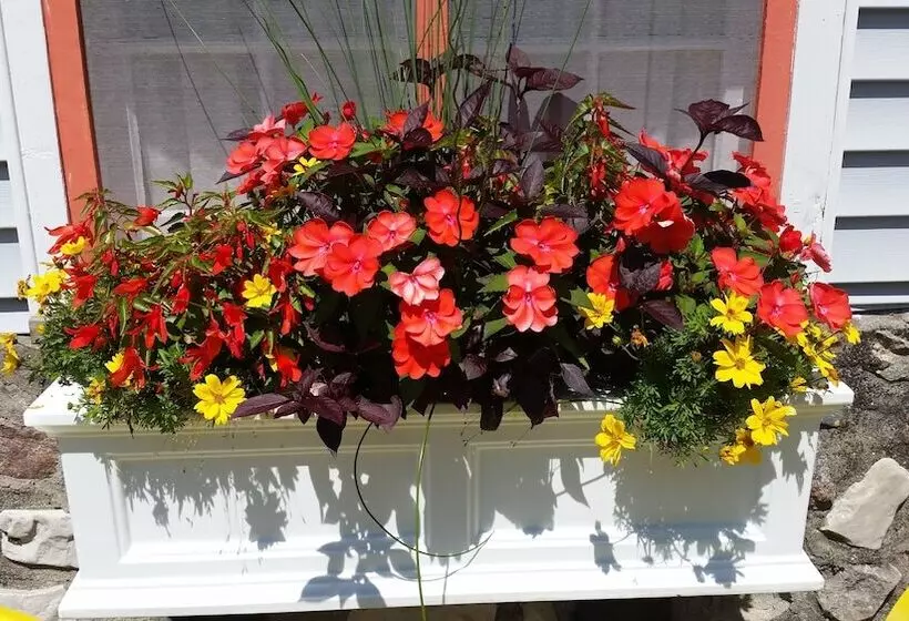 Hotelli Bay Port Lodging