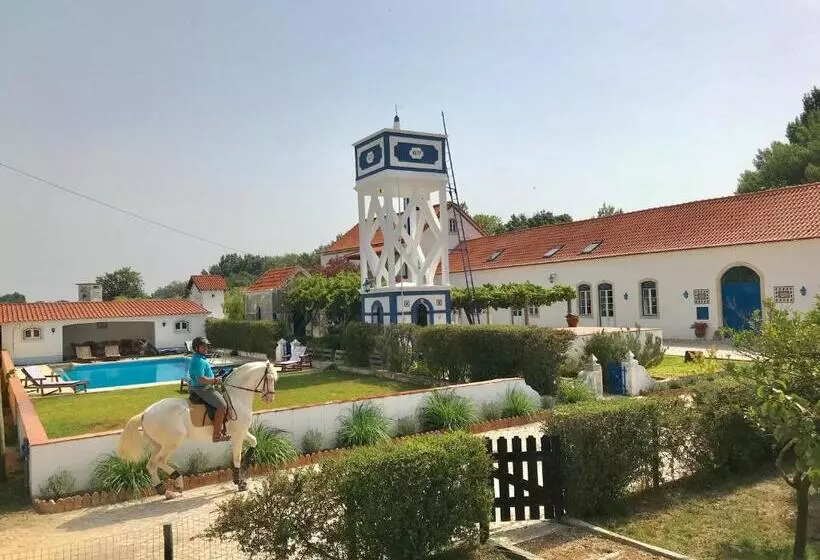 هتل Marchanta