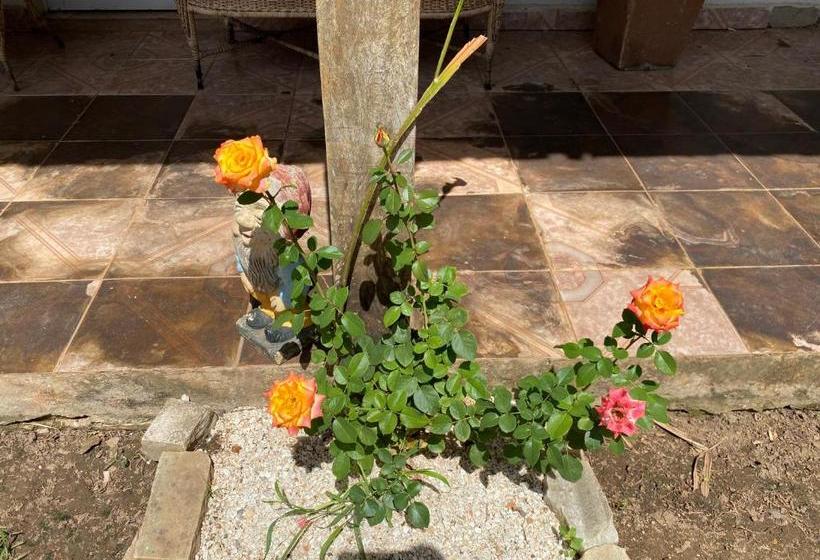 پانسیون Pousada Girassol