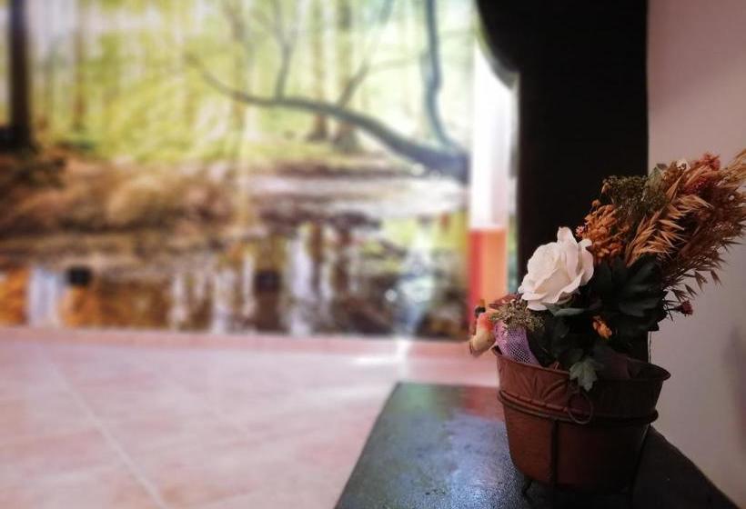 ペンション Karingo House