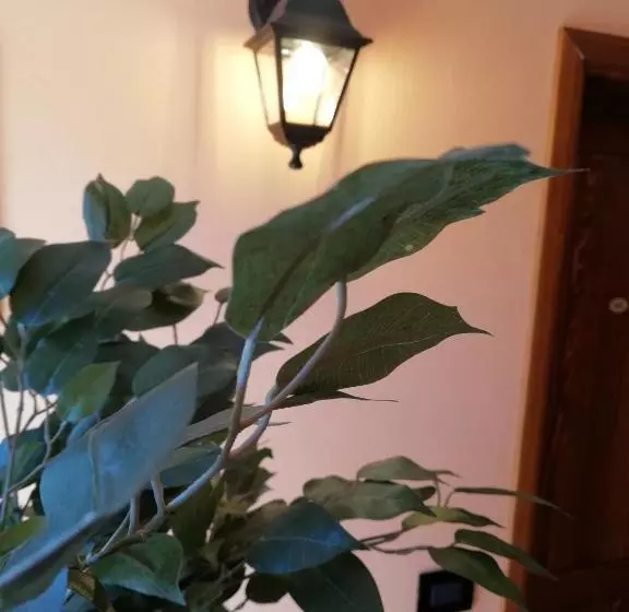 ペンション Karingo House