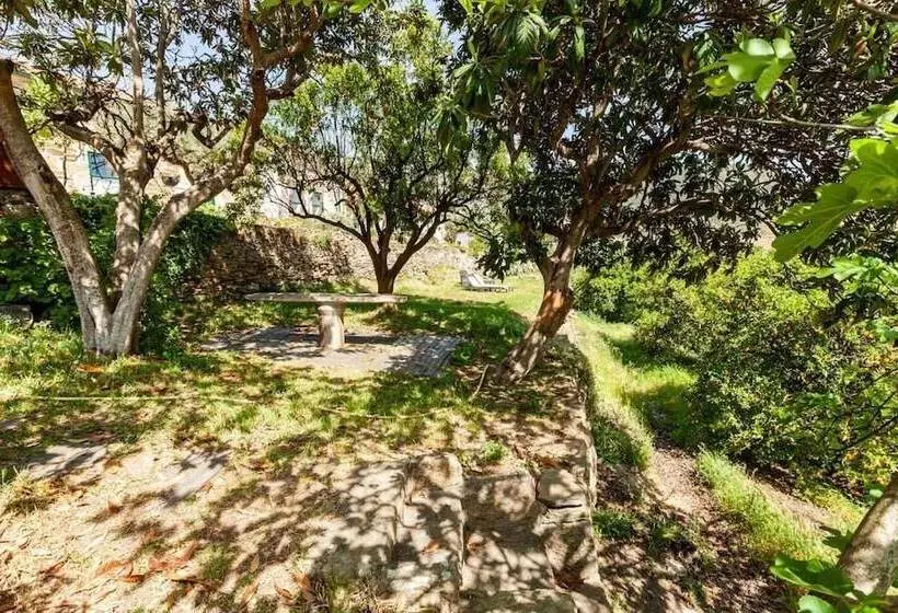 ホテル Quinta Das Amendoeiras