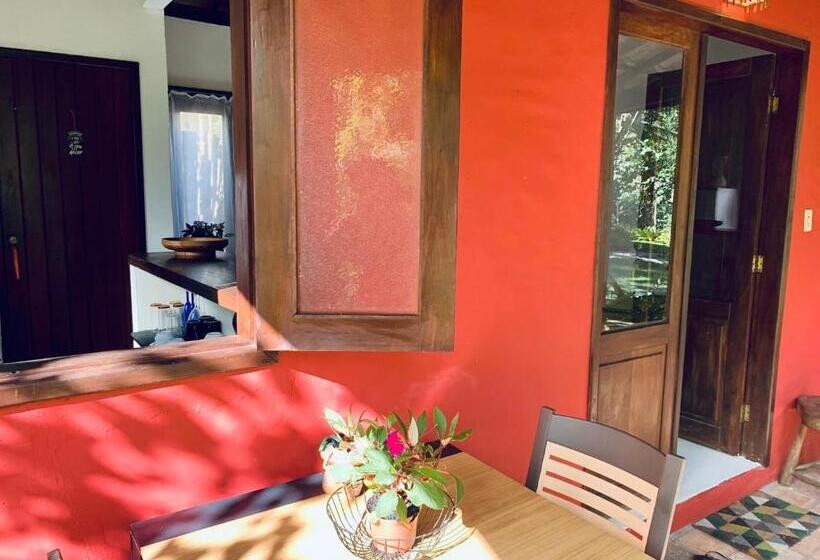 Hostel Salamandra Guest House