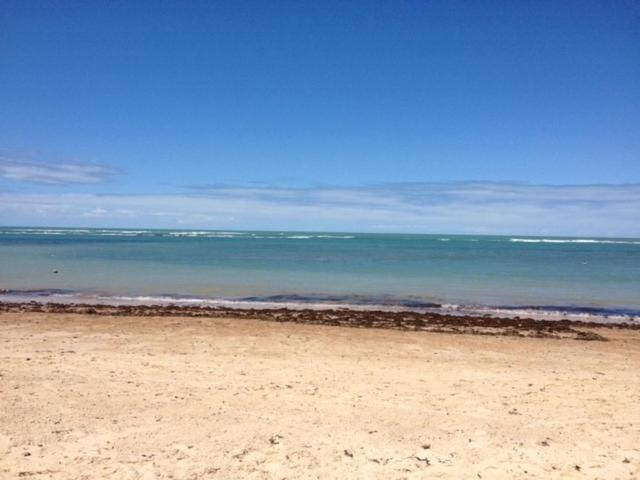 Hostel Salamandra Guest House