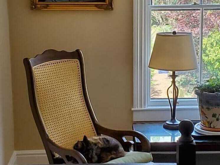 Bed and Breakfast Davis Square Inn