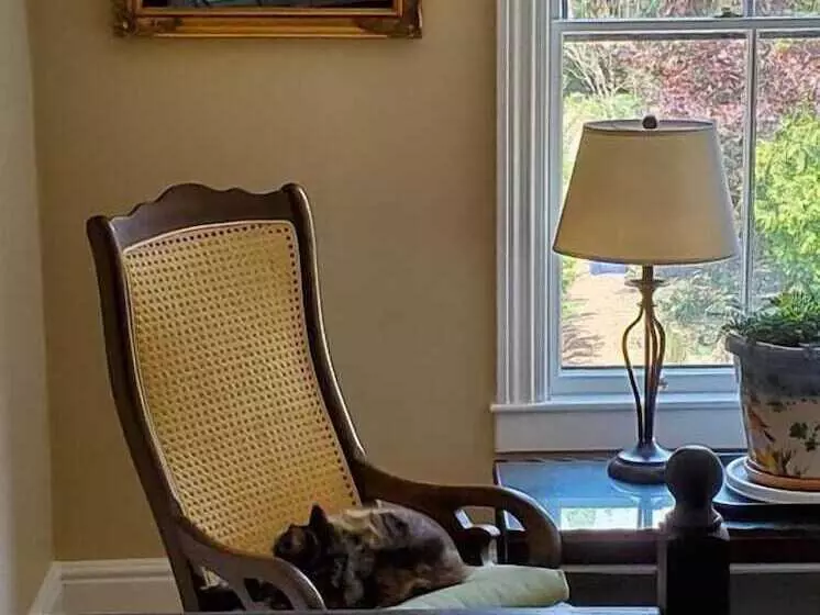 Aamiaismajoitus (B&B) Davis Square Inn