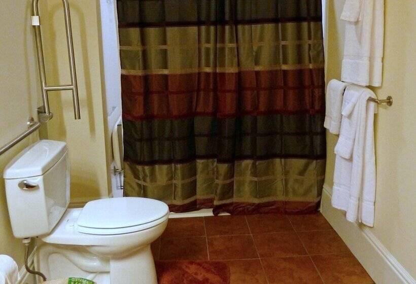 Bed and Breakfast Davis Square Inn