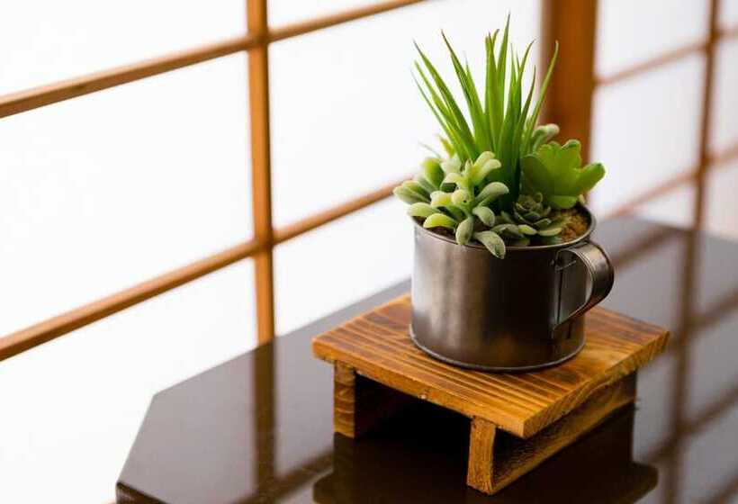 بنسيون A&z Guest House