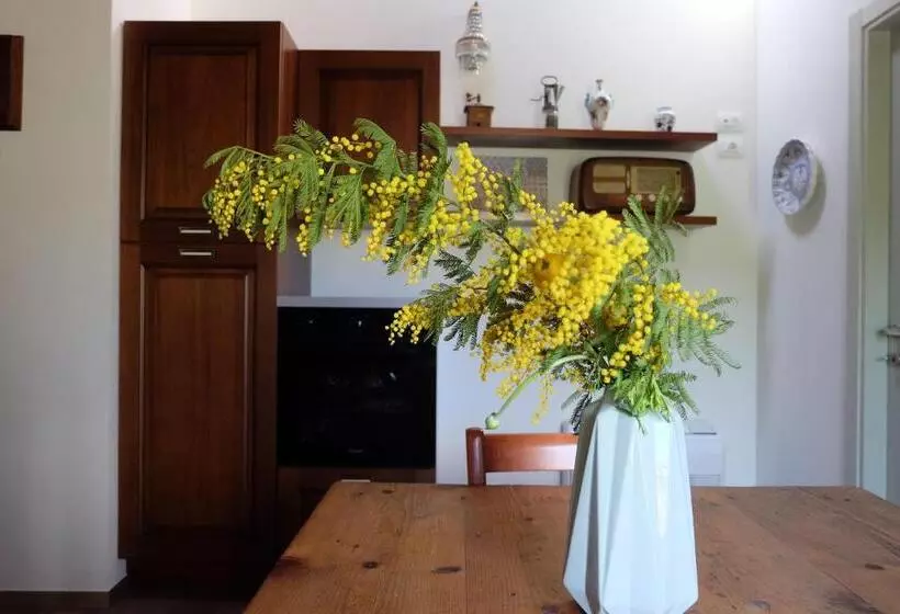ホテル Agriturismo Ceriano