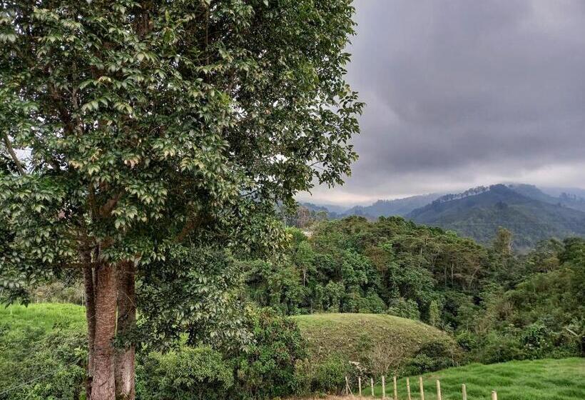 Pension Hostal Bamboo