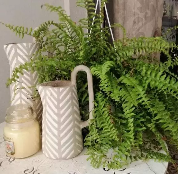 تختخواب و صبحانه Guest House 73