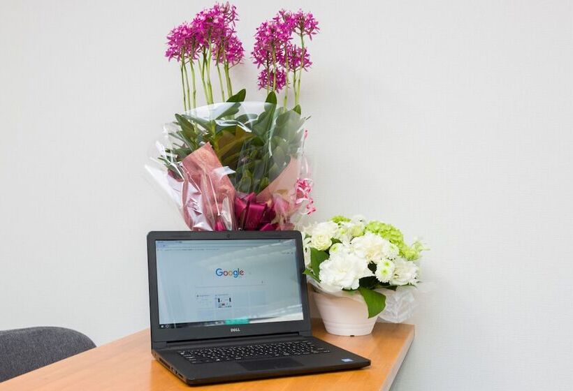 Pensão 81 S Inn Kumamoto Hostel