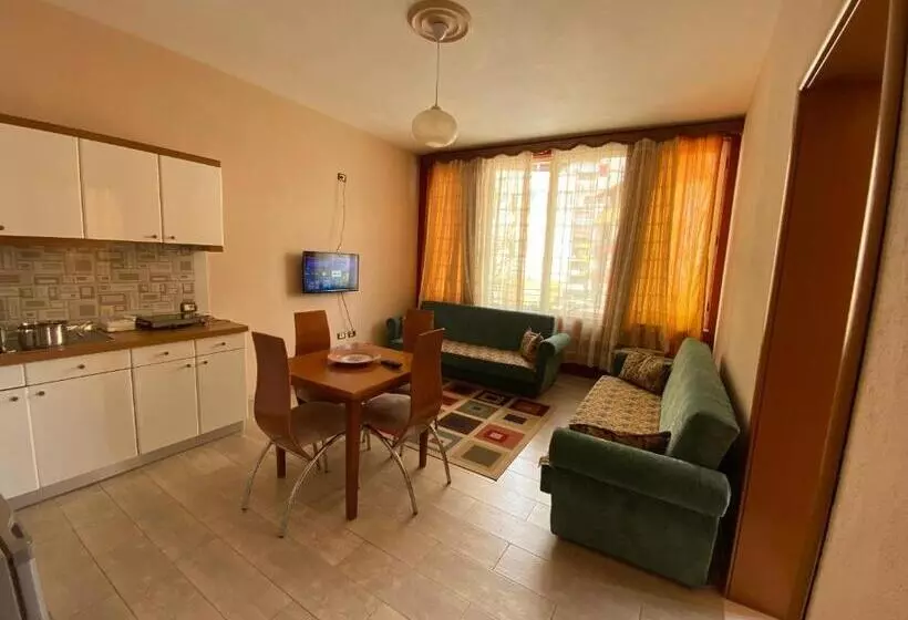 پانسیون Vila Topciu