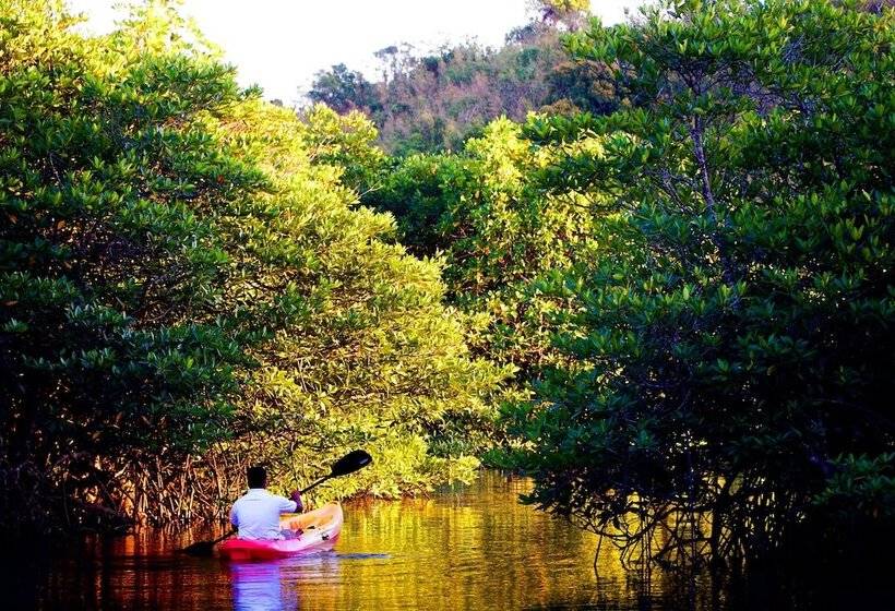 Bacau Bay Resort Coron