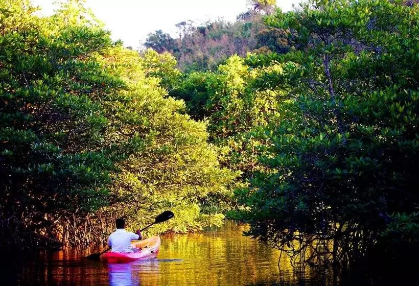 Bacau Bay Resort Coron