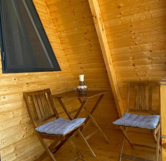 پانسیون Vila Miorita