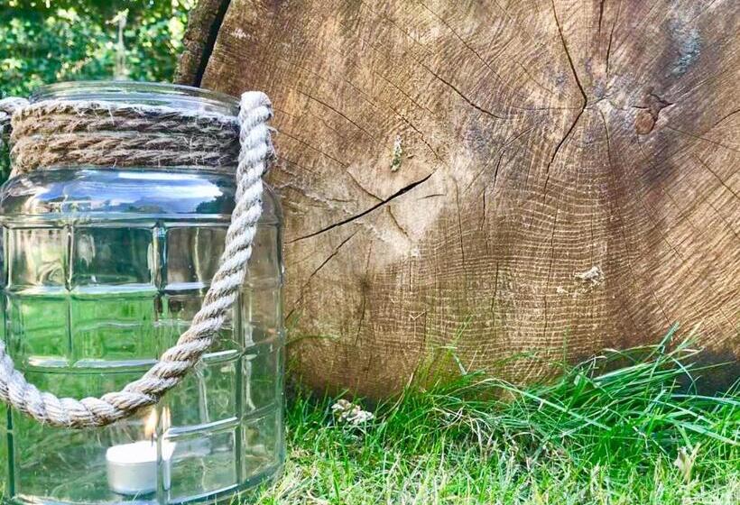 تختخواب و صبحانه Auxiliumwellness Get Back To Serenity